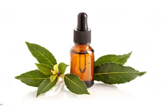 100% Albanian Organic Bay Leaves Essential Oil