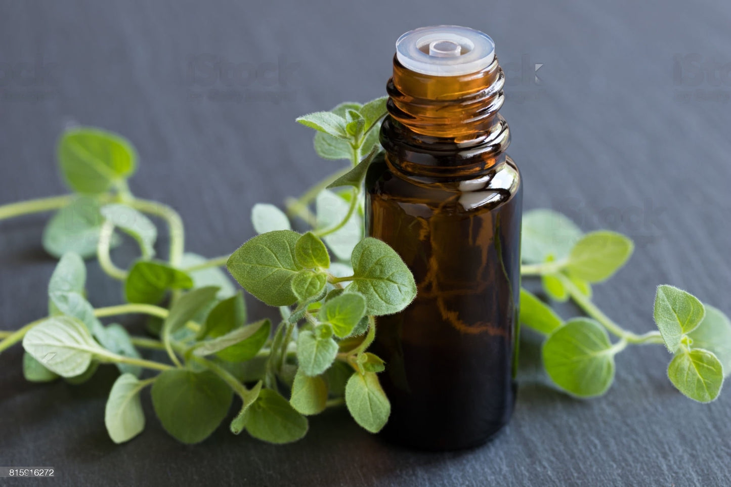 100% Albanian Organic Oregano Essential Oil