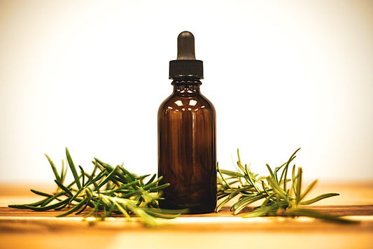 100% Albanian Organic Rosemary Essential Oil