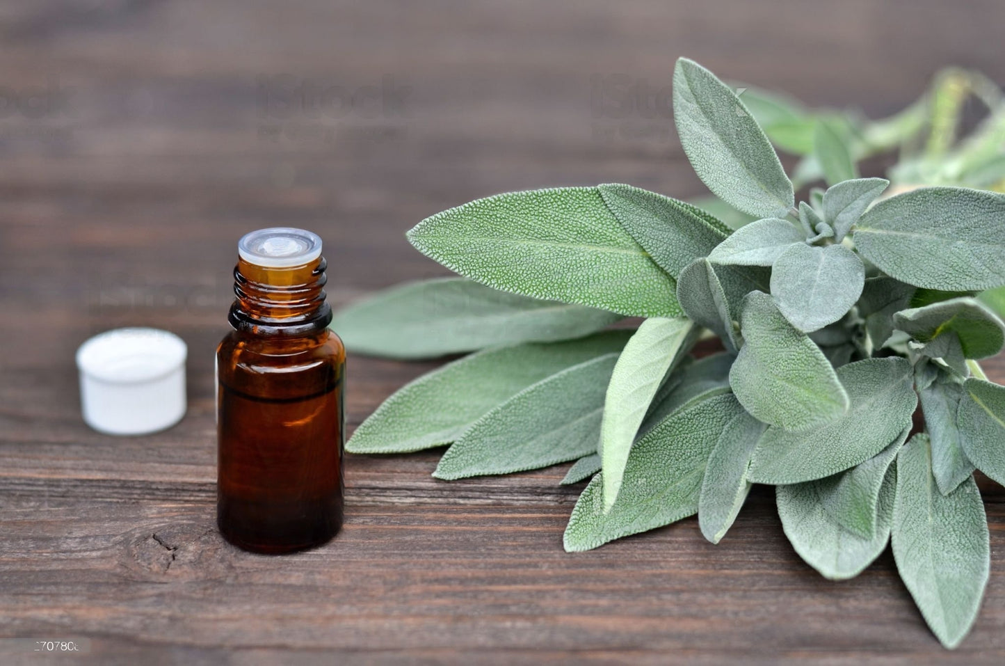 100% Albanian Organic Sage Essential Oil